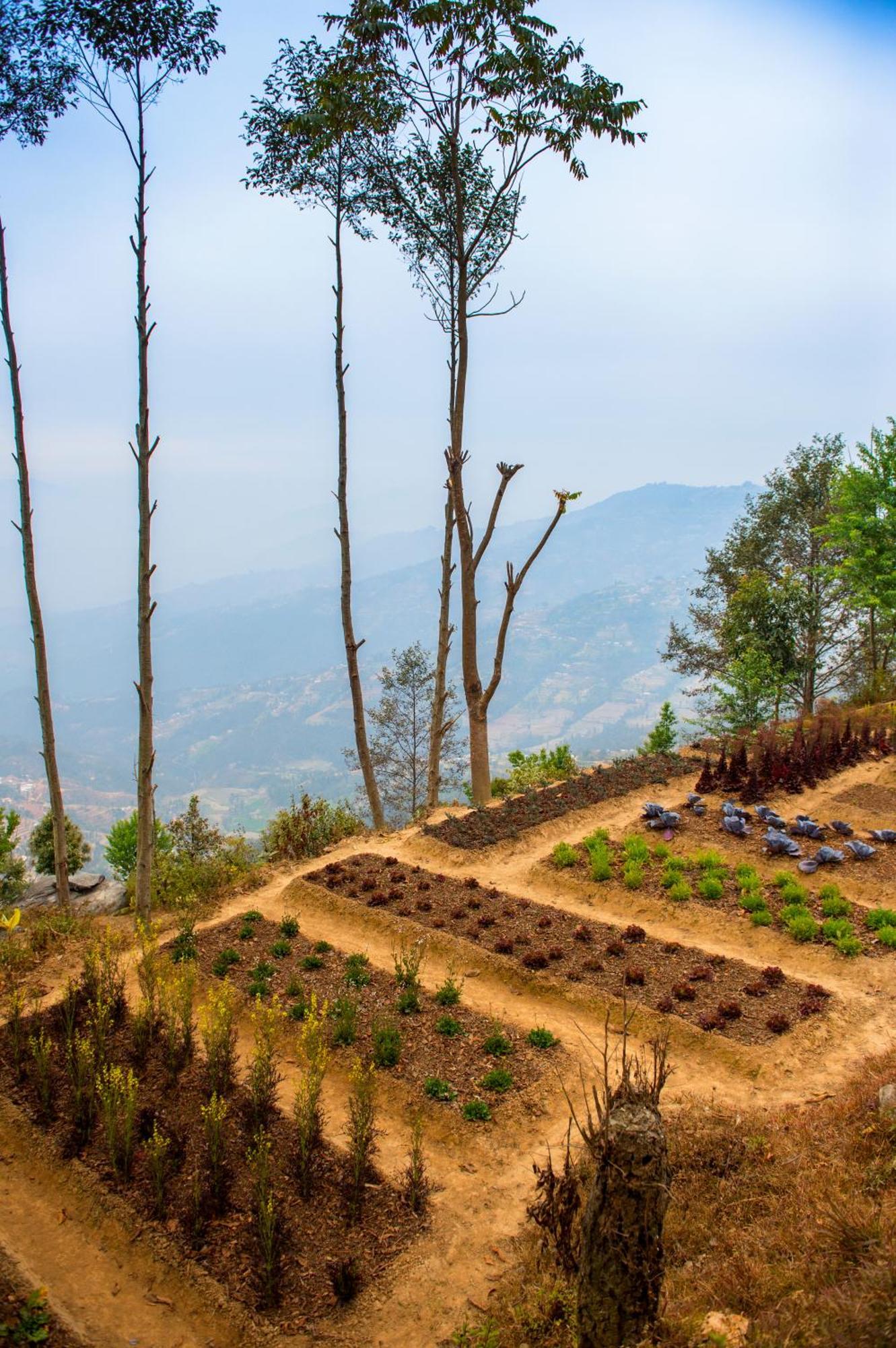 Dwarika'S Resort - Dhulikhel Wellbeing Escape In The Himalayas Exterior photo