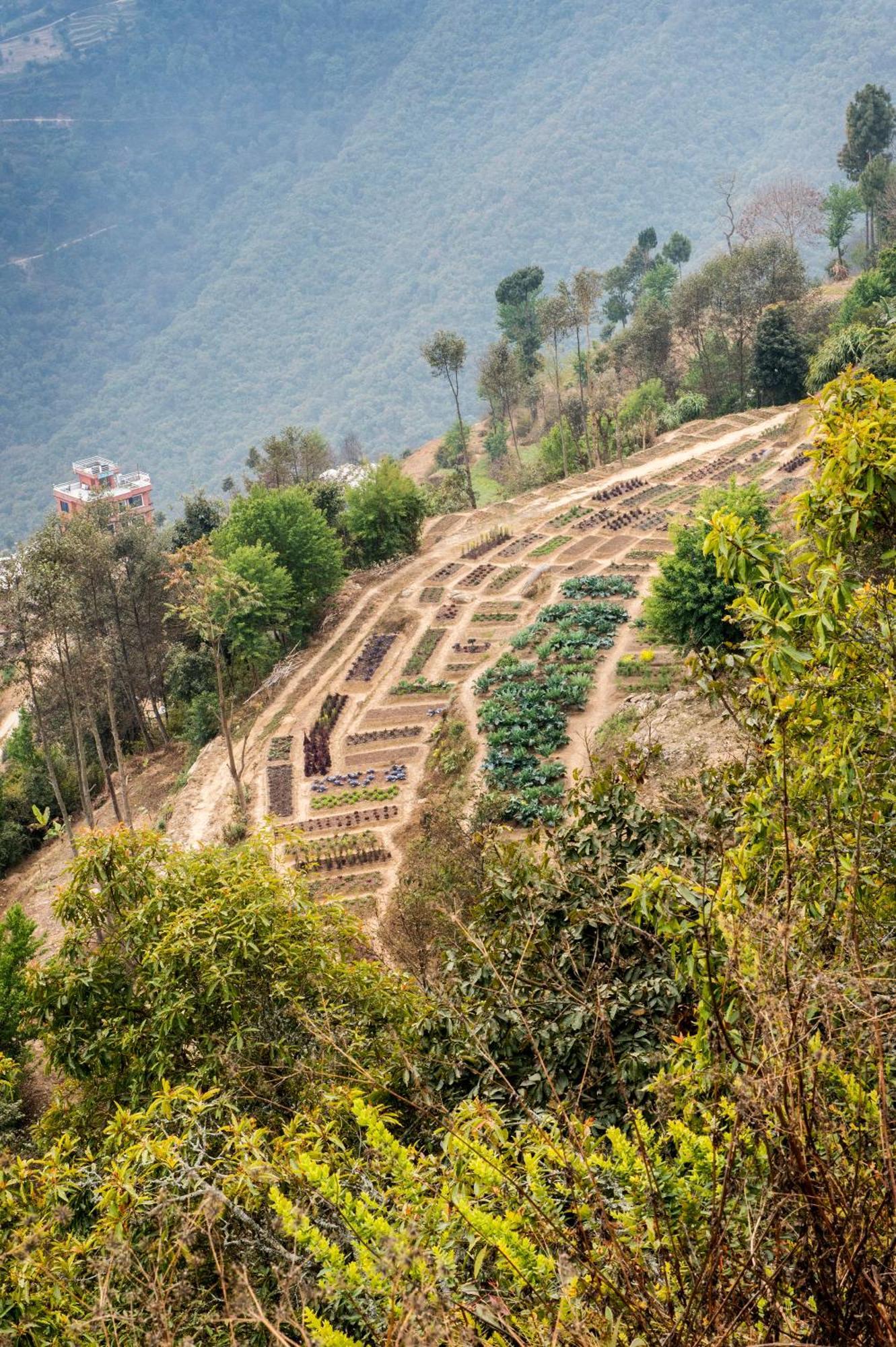 Dwarika'S Resort - Dhulikhel Wellbeing Escape In The Himalayas Exterior photo